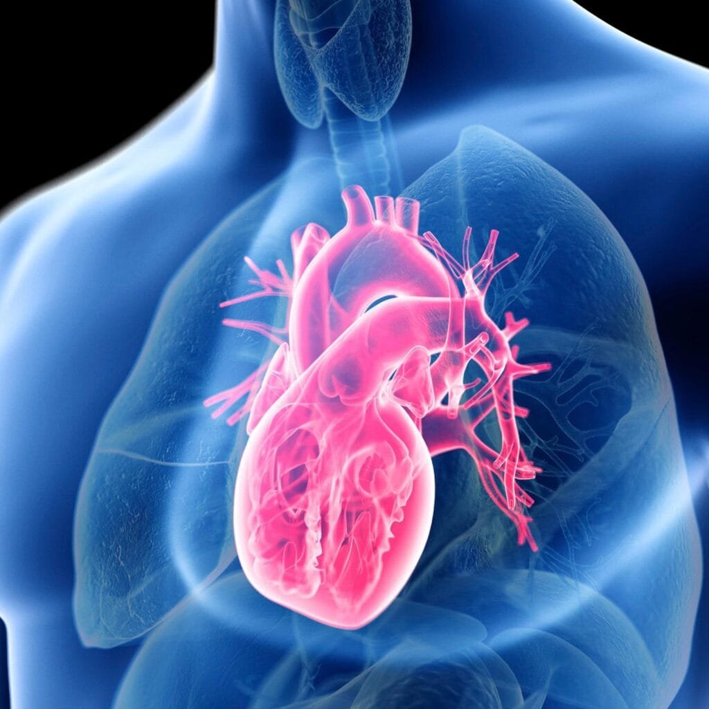रांची में 13 सितंबर को होगा ‘Prevent Heart Summit 2026’