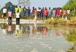 अफीम की खेती छोड़ रबी फसल की ओर लौटे ग्रामीण