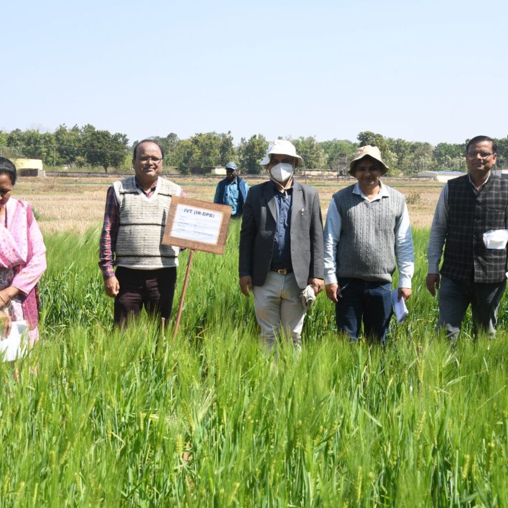 मॉनिटरिंग टीम ने बीएयू में गेहूं एवं जौ अनुसंधान कार्यों की समीक्षा की