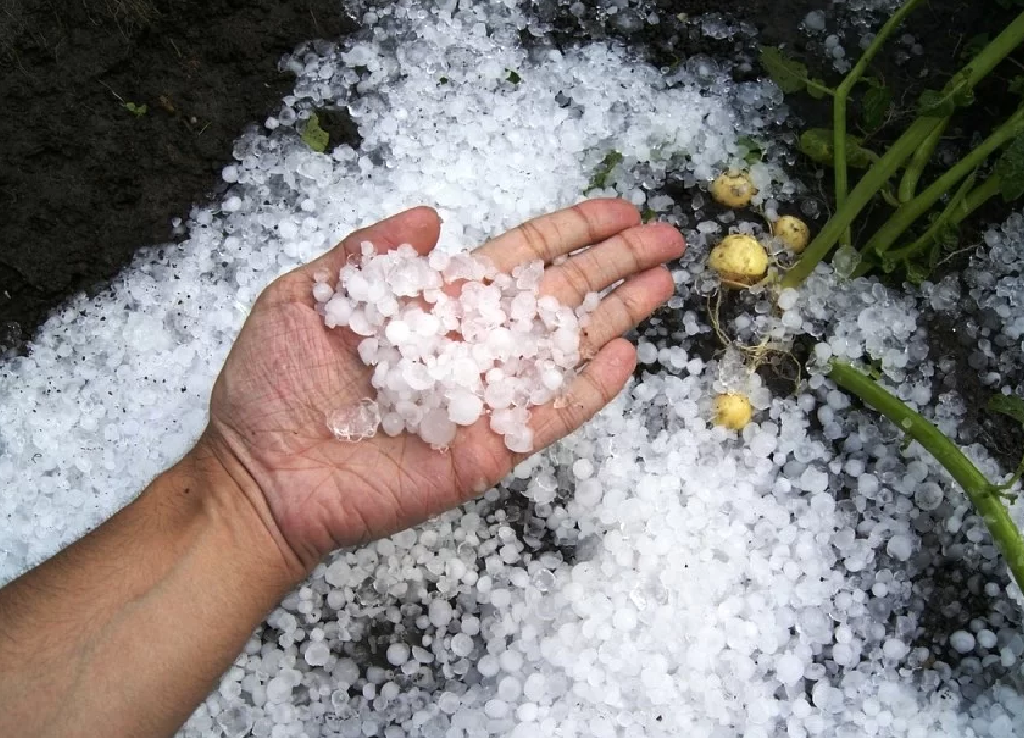 Jharkhand Weather Alert : अगले 3 घंटे में इन जिलों में ओला पड़ने की आशंका