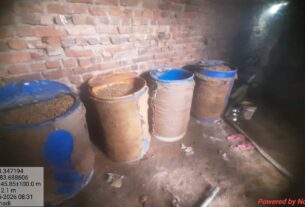 अवैध शराब की चार भट्ठियां ध्वस्त, 120 लीटर शराब बरामद