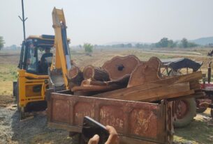 अवैध रूप से संचालित आरा मिल पर वन विभाग ने की कार्रवाई