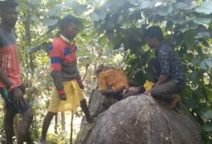 पत्ता तोड़ने गए दंपति पर भालू ने किया हमला, पति गंभीर रूप से घायल